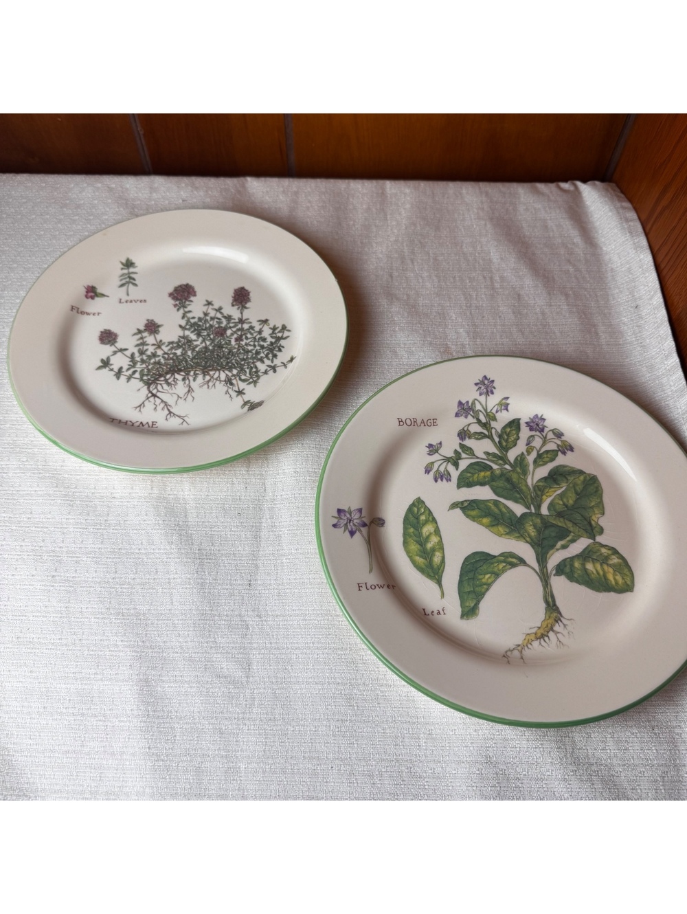 Vintage Williams Sonoma Culinary Herbs Plates Set Of 2 Thyme Borage 9 Inch - Picture 2 of 8